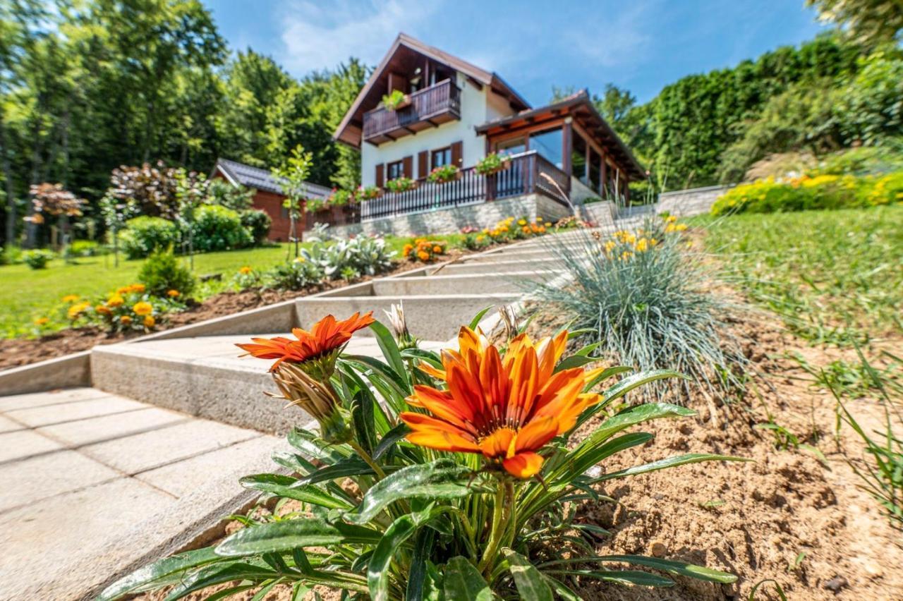 Holiday Home Mare Near River 卡尔洛瓦茨 外观 照片